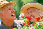 Happy Couple Picking Flowers Photo